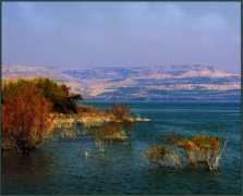 Kineret