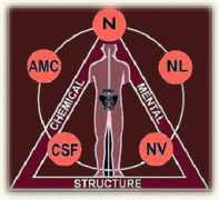 inplainsite.org Kinesiology