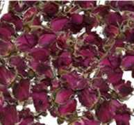 5ff9fd31ecb3.hotproduct.foodqs.cn Kingrose