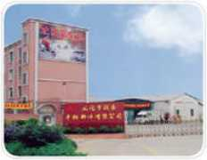 chjunhao.com Kinlon
