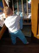 gallery.site.hu Kinott