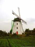 belgiumview.com Kinrooi