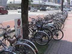 thejapanfaq.com Kinshi