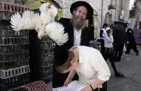 Kippur