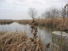 panoramio.com Kires