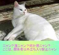 geocities.co.jp Kirine