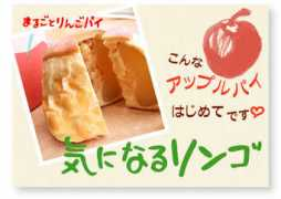 cameashi.net Kiringo