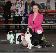 dreeveri.fi Kisliakov