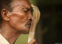 Kisser