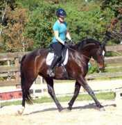 sonestafarms.com Kistina