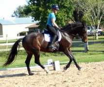 sonestafarms.com Kistina