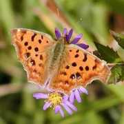 mitomori.co.jp Kitate