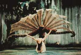 balletnews.co.uk Kitcher