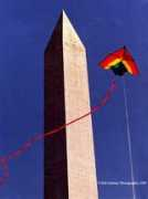 Kite