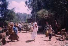 mediaethiopia.com Kitel