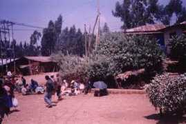 mediaethiopia.com Kitel