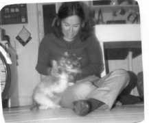 epc.buffalo.edu Kitella