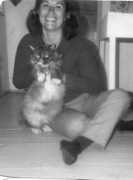 epc.buffalo.edu Kitella