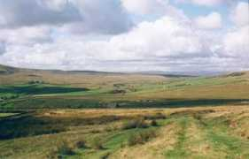 geograph.org.uk Kitley