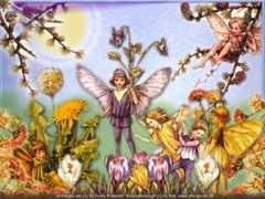 blog.b92.net Kitscha