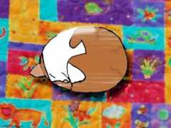 theotaku.com Kitteh