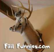 failfunnies.com Kitteh