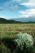 utalii.com Kitulo