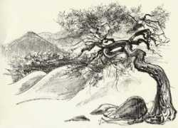Kiung