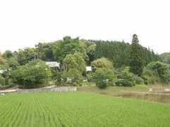 Kiwaki