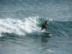 .hawaii.edu Kiwalo