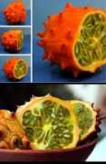 oddee.com Kiwano