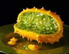 webecoist.momtastic.com Kiwano