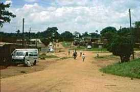 Kiwoko