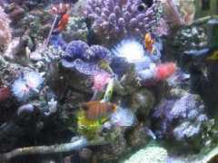 blueharbor.co.jp Kiyotani