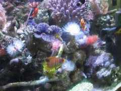 blueharbor.co.jp Kiyotani