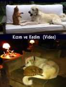 anadolu.eu Kizim