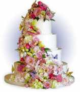 stickyfingerscakes.com Kkate