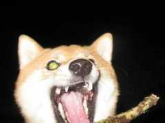 photo.jurica.info Klacik