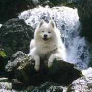 dreamfromrussia.de Klaene