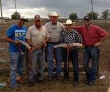 4llandandcattle.com Klancey