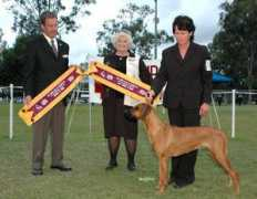riginalridgebacks.com Klancie