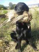 stobklub.cz Klaudina