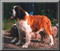 server.hund.ch Klauset