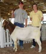 boergoats.com Kleisch