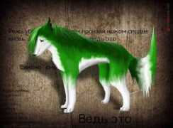 klena.furnation.ru Klena