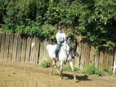 gerticek.wbs.cz Kleus