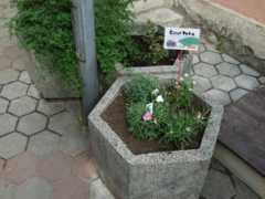krovinova.blog.sme.sk Klince