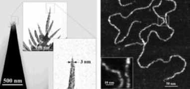 nanoscopy.net Klinov