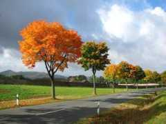 panoramio.com Kloester