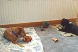 black-thunder-storm.nl Kluiven